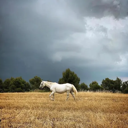 La Garriga De 4*