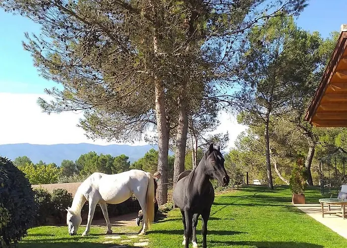 Ξενοδοχείο La Garriga De Castelladral